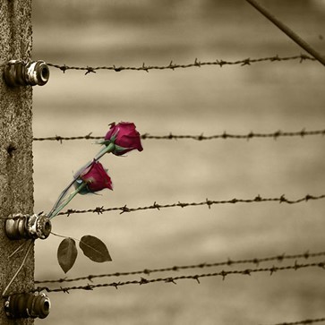 Giornata della Memoria Giornata della Memoria