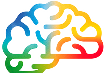 20221217 Brainbow Milano 20221217 Brainbow Milano