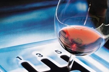 20240215 GS SS Albino 20240215 GS SS Albino